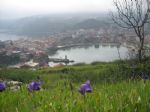 G�nderen:GaleriHikmet Bagdatli - Detay: AMASRA - Tarih: 6/19/2009 - Hit: 129