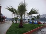 G�nderen:Galeri Hikmet Bagdatli - Detay: Amasra - Tarih: 1/28/2010 - Hit: 21