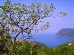 G�nderen:Amasram.Net - Detay: Amasra - Tarih: 6/15/2007 - Hit: 3786
