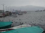 G�nderen:Galeri Hikmet Bagdatli - Detay: Amasra - Tarih: 2/6/2010 - Hit: 4