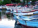 G�nderen:Banu Tuncel - Detay: Amasra - Tekneler... - Tarih: 9/2/2007 - Hit: 2154