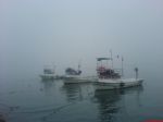 G�nderen:Galeri Hikmet Bagdatli - Detay: Amasra - Tarih: 2/26/2010 - Hit: 17