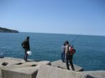 G�nderen:Bartun Turizm - Detay: Amasra Afisi - Tarih: 1/27/2007 - Hit: 2088