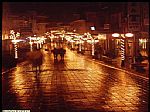 Gnderen:Kurtulu Kaptan - Detay: Bartin Hukumet caddesi Gece Yagmurlu - Tarih: 10/10/2006 - Hit: 7708
