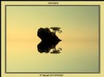 G�nderen:Mustafa �ET�NKAYA (www.ulukayakoyu.com) - Detay: Denizin Kalbi 