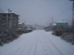 Gnderen:Salih Tiryaki - yesilcakraz.com - Detay: cakraz kar yagisi - Tarih: 12/27/2006 - Hit: 4087