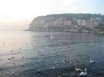 G�nderen:GaleriHikmet Bagdatli - Detay: kucuk liman Amasra - Tarih: 6/19/2009 - Hit: 240