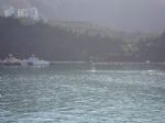 G�nderen:Galeri Hikmet Bagdatli - Detay: Amasra - Tarih: 2/1/2010 - Hit: 9